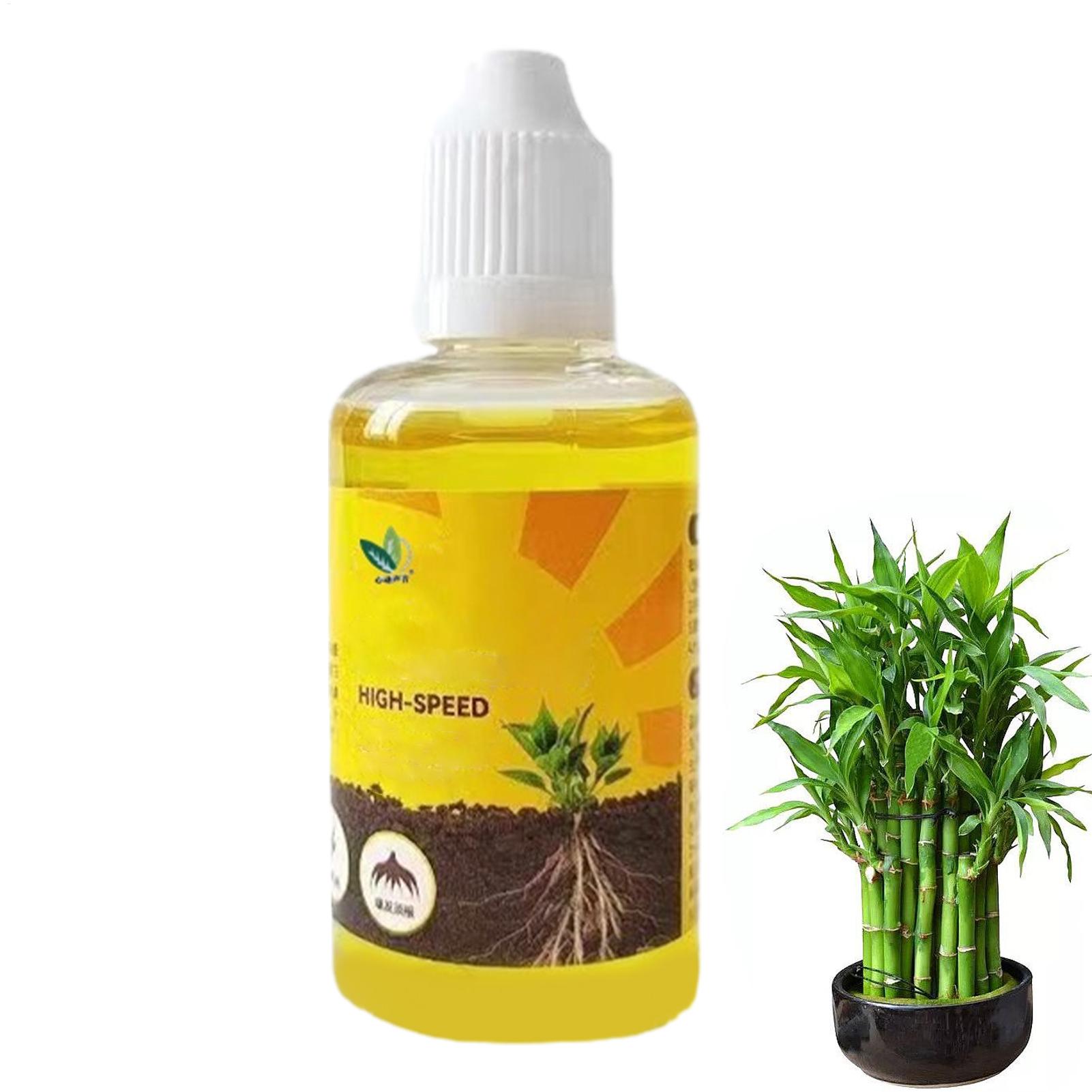 Rooting Hormone Powder - Stimulateur d'enracinement de plante liquide, 50ml,