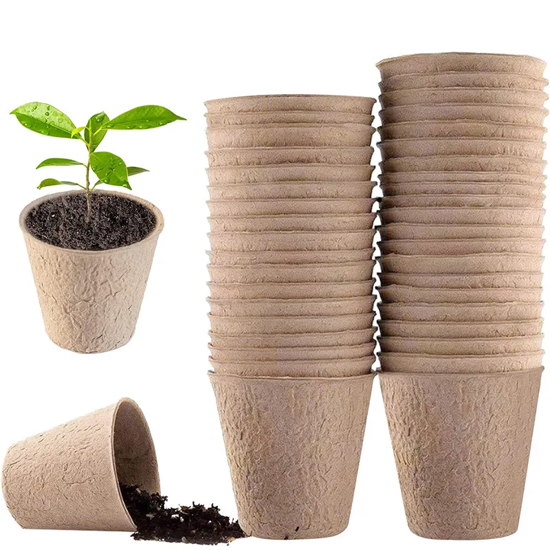 Peat Pellet Tray - 50 pots ronds en tourbe pour