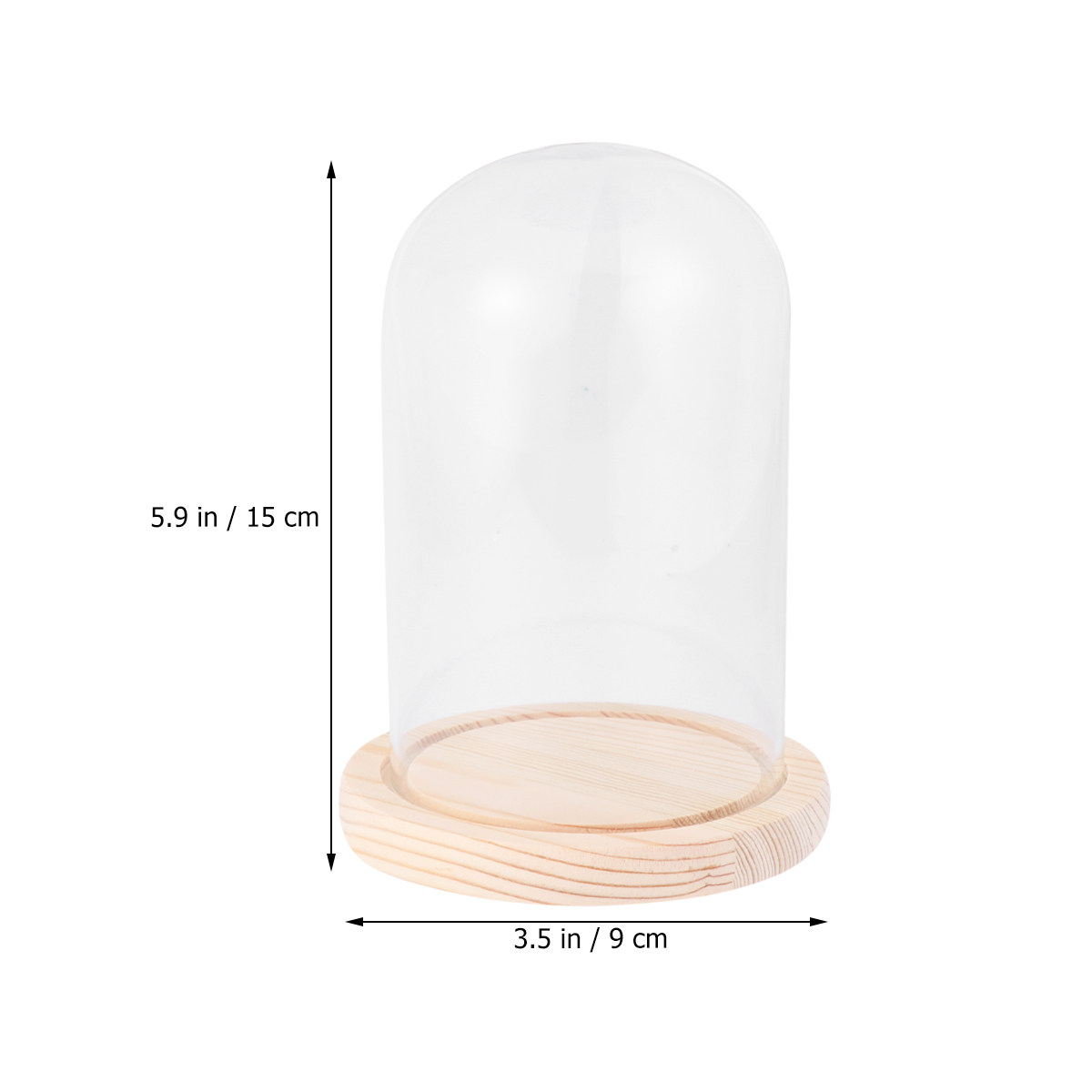 Dôme en verre élégant 9x15cm p - Plastic Dome Clear avis et prix
