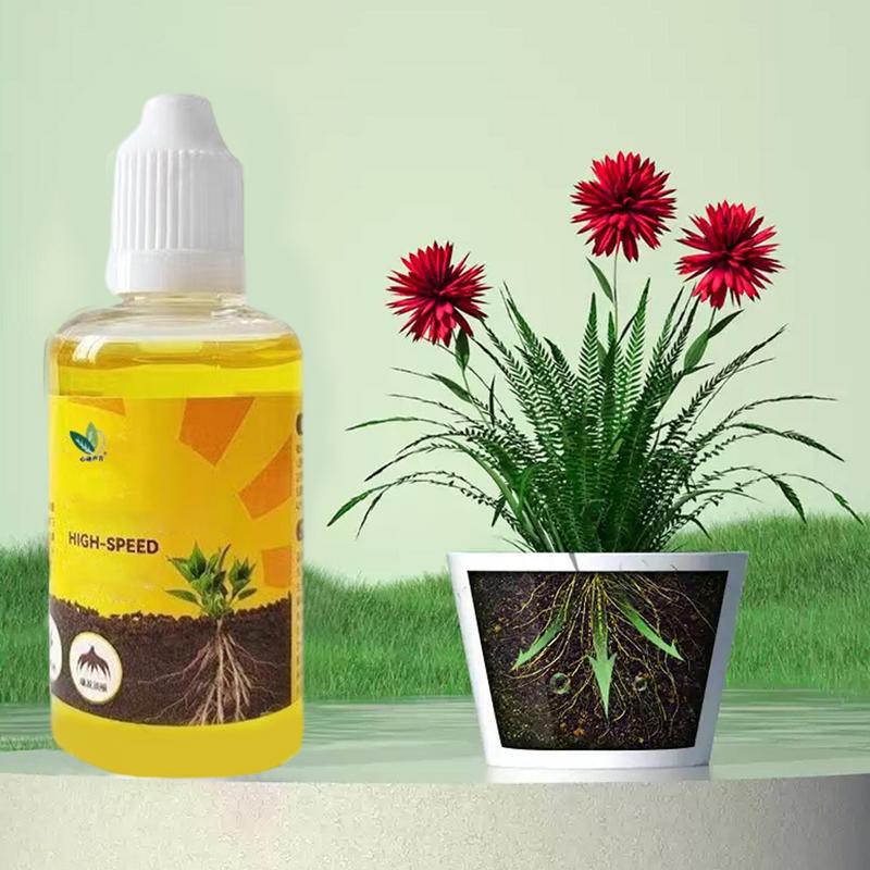 Épisseur de Racines de Plantes - Rooting Hormone Powder avis et prix