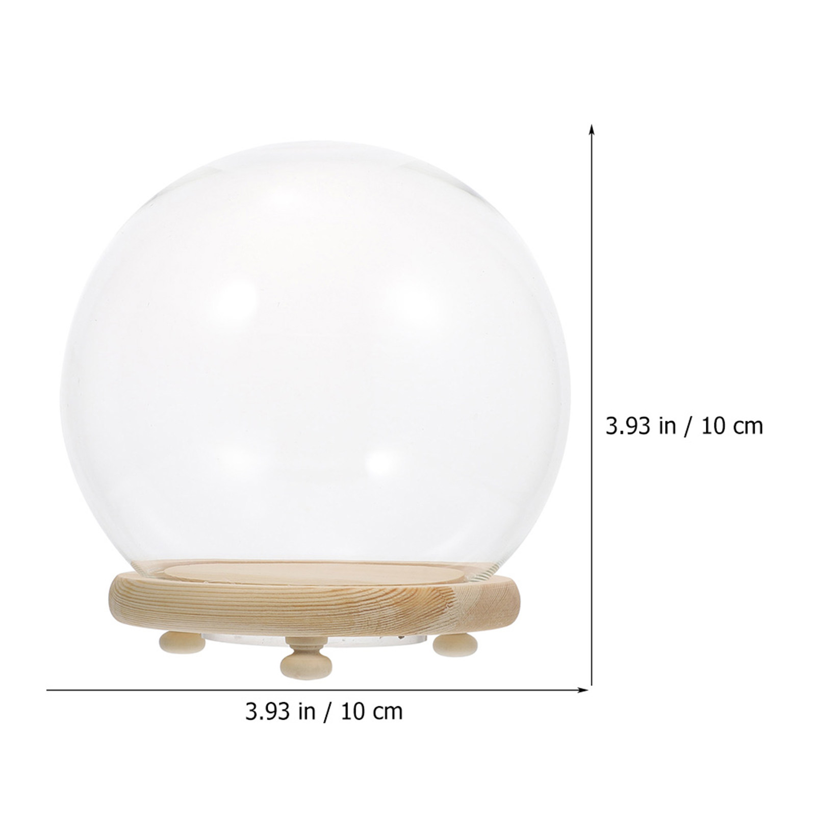 Vitrine en dôme de verre pour  - Plastic Dome Clear avis et prix