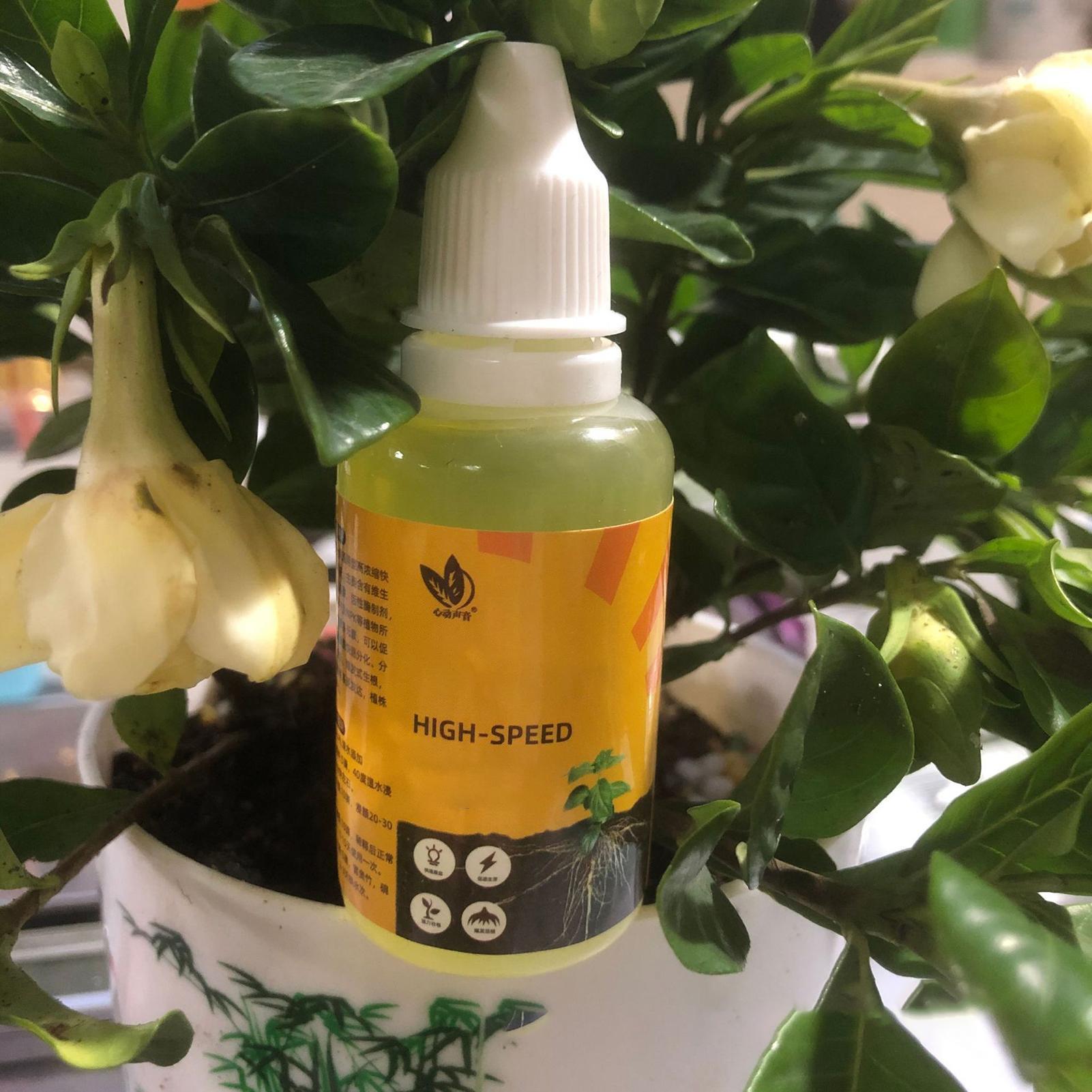 Stimulateur d'enracinement de  - Rooting Hormone Powder avis et prix