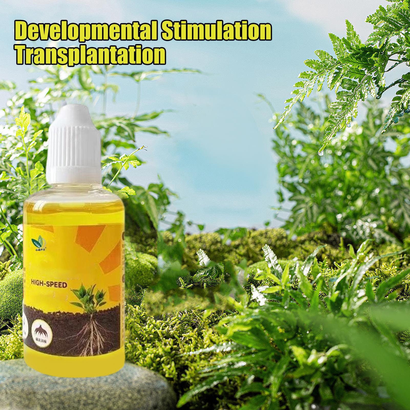Stimulateur d'enracinement de  - Rooting Hormone Powder avis et prix