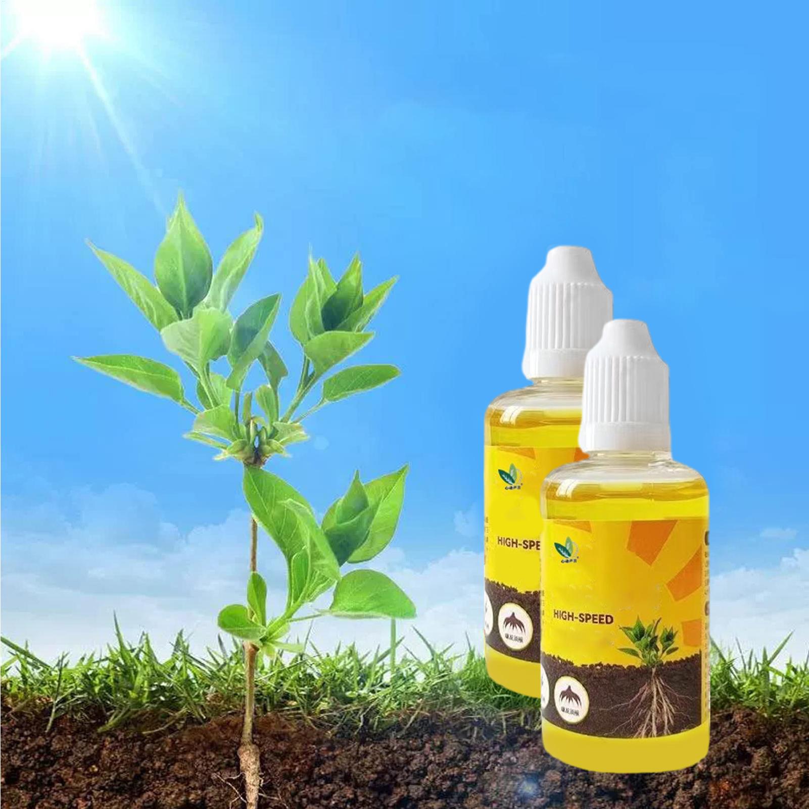 Stimulateur d'enracinement de  - Rooting Hormone Powder avis et prix
