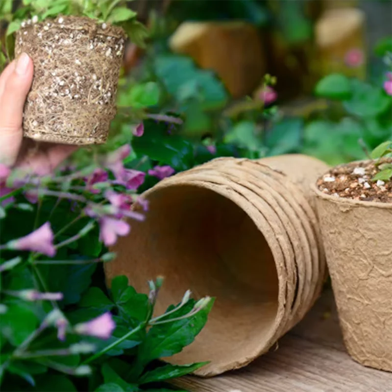 50 pots ronds en tourbe pour j - Peat Pellet Tray avis et prix