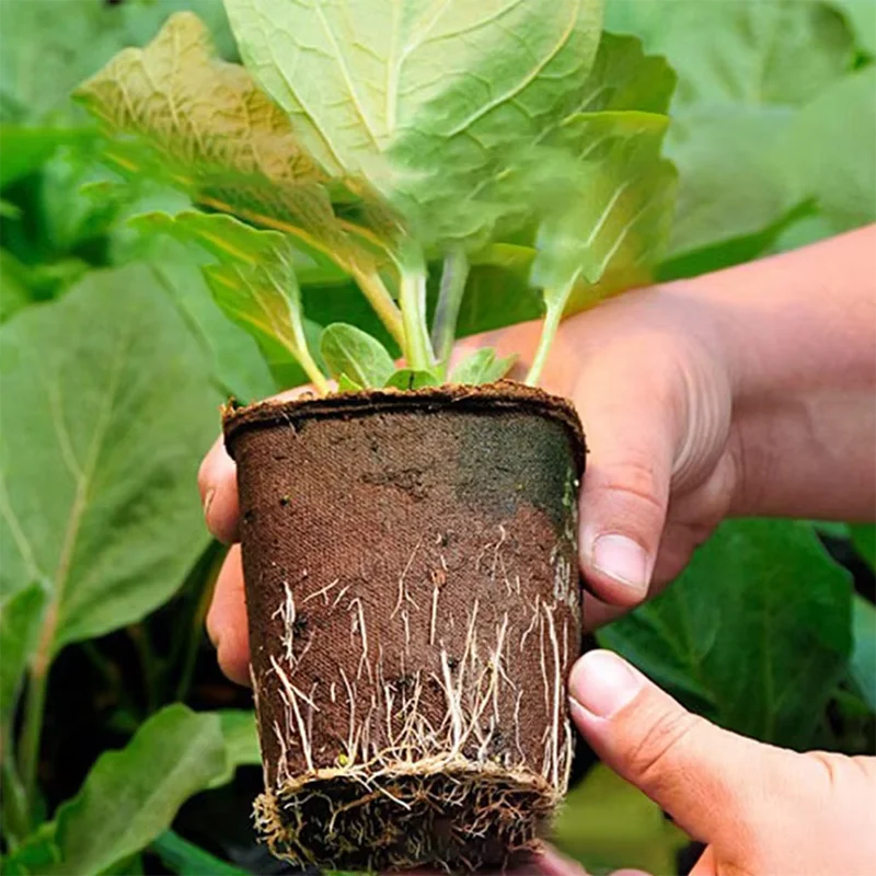 50 pots ronds en tourbe pour j - Peat Pellet Tray avis et prix